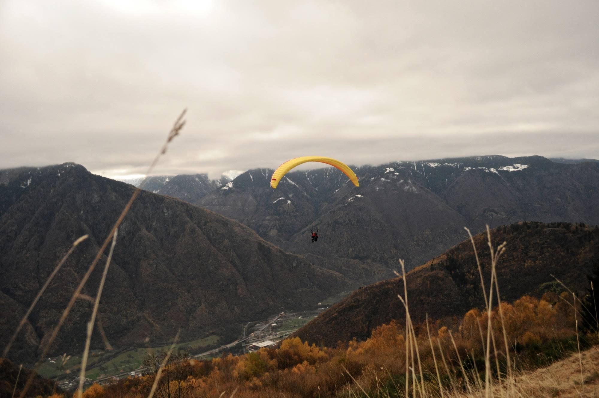 2001festaaleggia5357jpg 35739822800 o