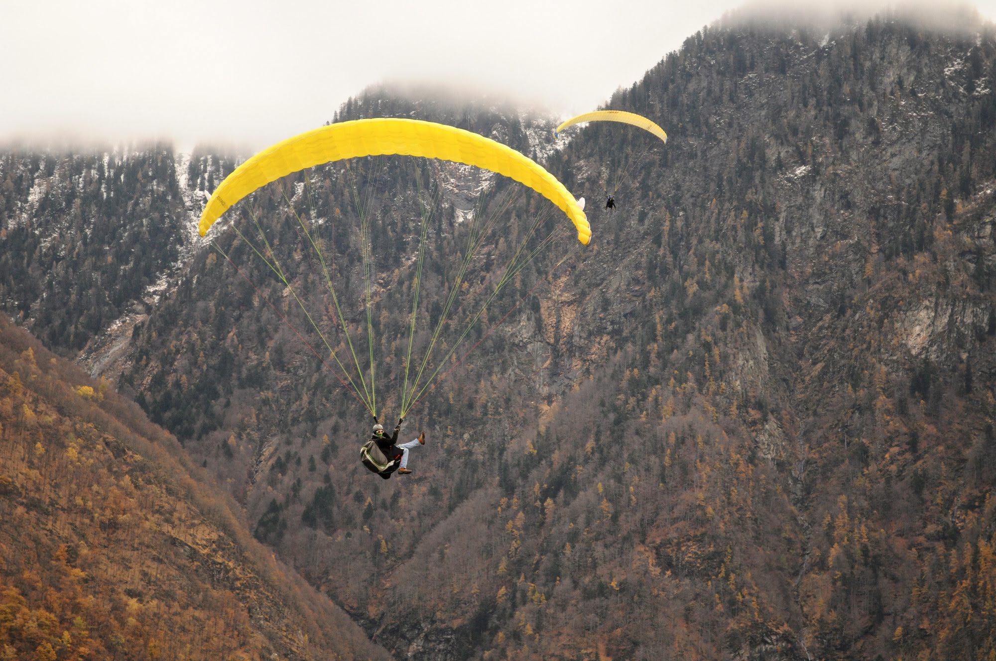 2001festaaleggia5360jpg 35290506654 o