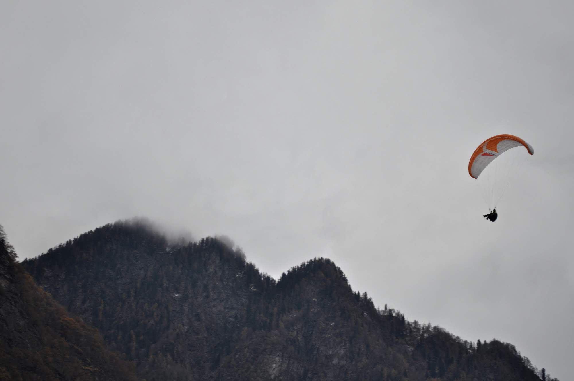 2001festaaleggia5373jpg 36132865965 o