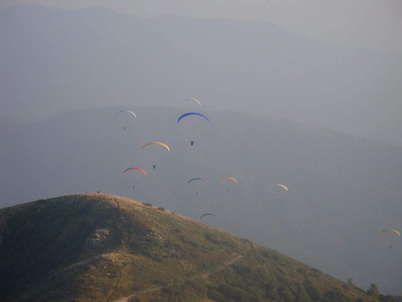 20101agostomontelema1714jpg 36119001926 o