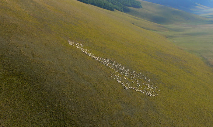 2010castellucciodinorcia1586jpg 36159645755 o