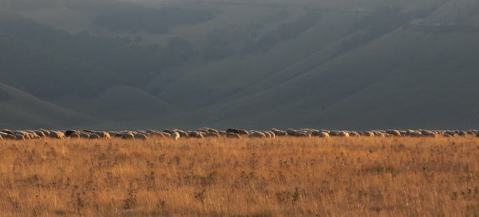 2010castellucciodinorcia1590jpg 35320231944 o