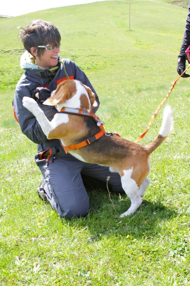 2011dolomiti1474jpg 35768118120 o