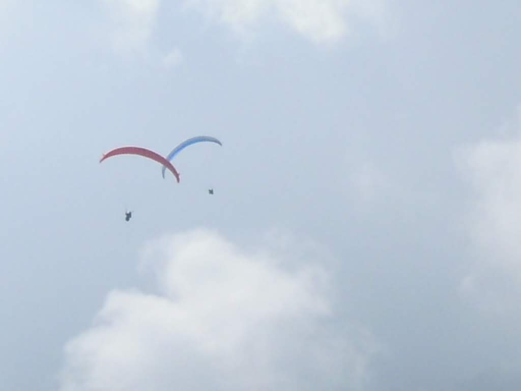 2011giornatadivolodalnara1405jpg 36118911066 o