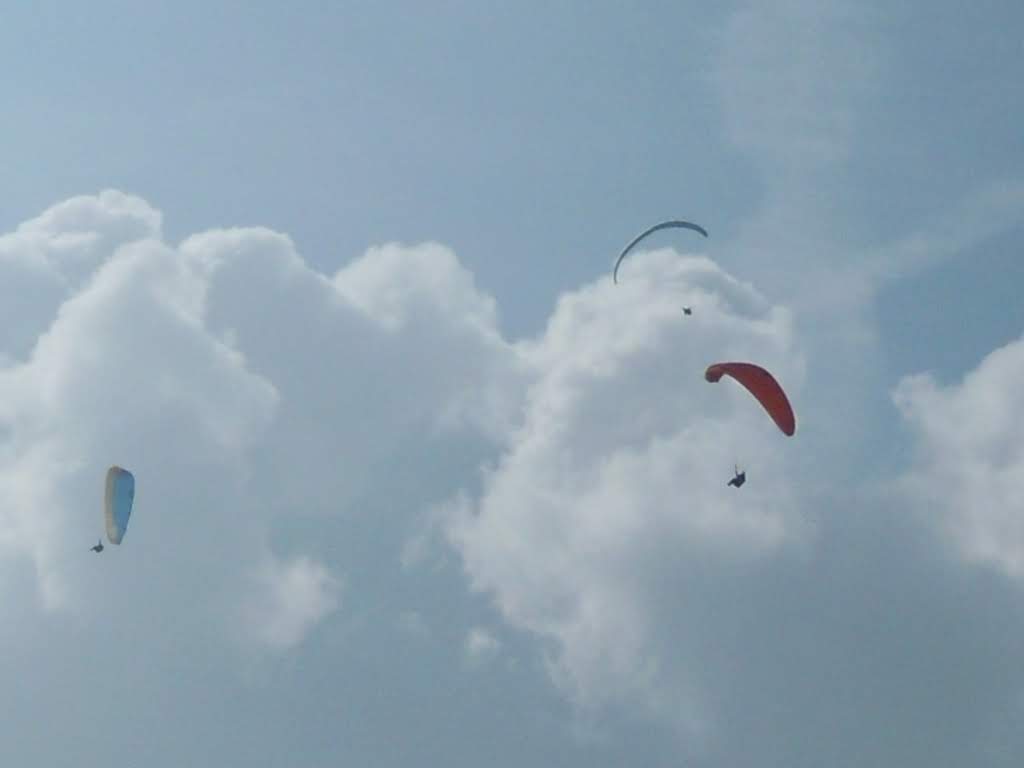 2011giornatadivolodalnara1406jpg 36118910286 o