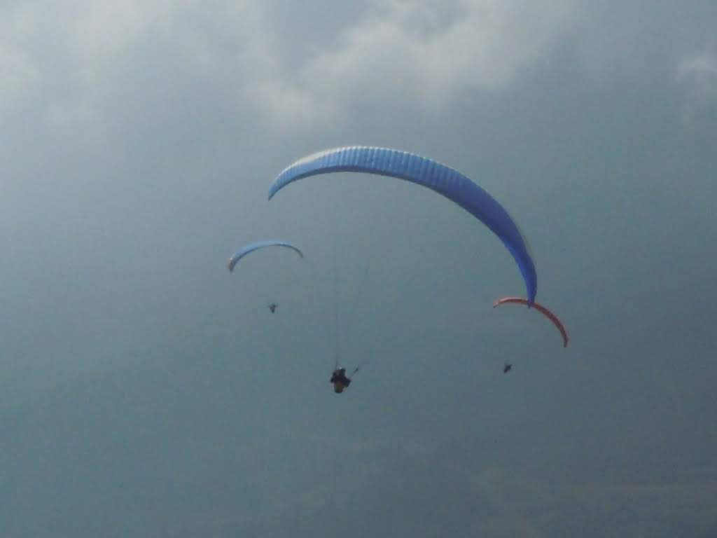 2011giornatadivolodalnara1407jpg 36118910906 o