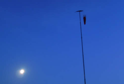 2011moonstars1460jpg 35351994553 o