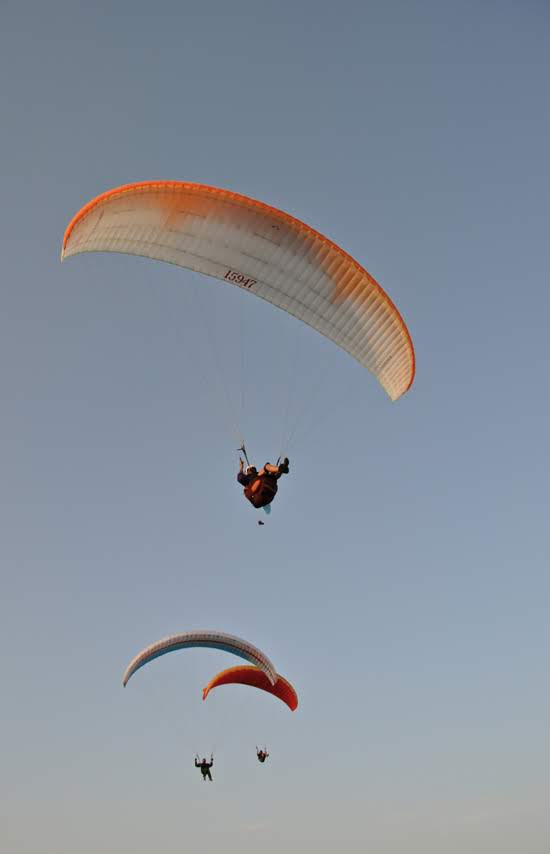 2012seraleallema1053jpg 36118835006 o