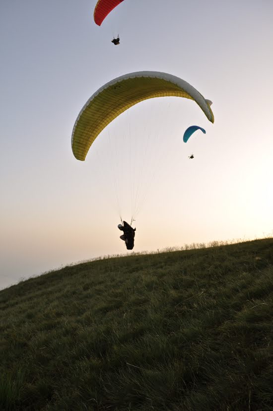 2012seraleallema1054jpg 35319929514 o