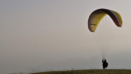 2012seraleallema1101jpg 35990968742 o