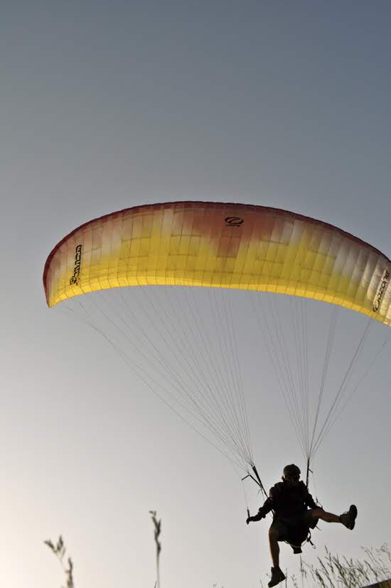 2012seraleallema1102jpg 36118827726 o