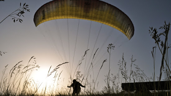 2012seraleallema1103jpg 35319924914 o