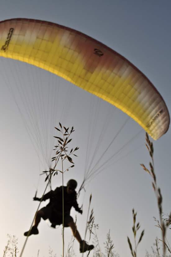 2012seraleallema1104jpg 35319930524 o