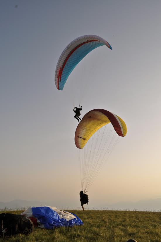 2012seraleallema1109jpg 36118826666 o