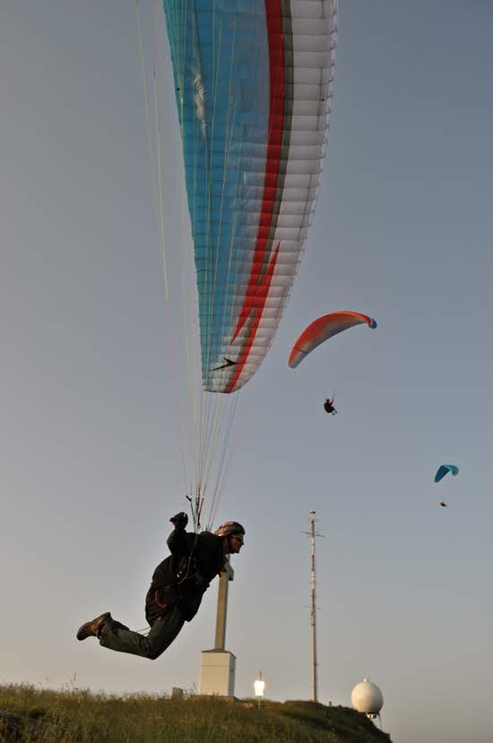 2012seraleallema1116jpg 36118835986 o