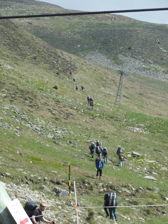 2013nara889jpg 36159410675 o