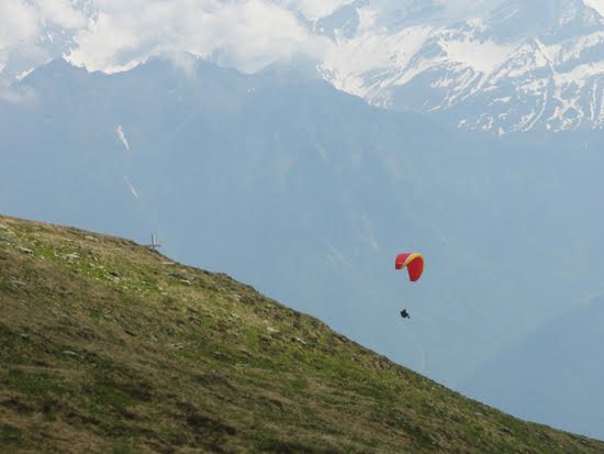 2013nara896jpg 35990908072 o