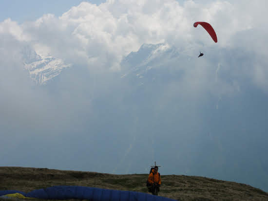 2013nara910jpg 35990900042 o