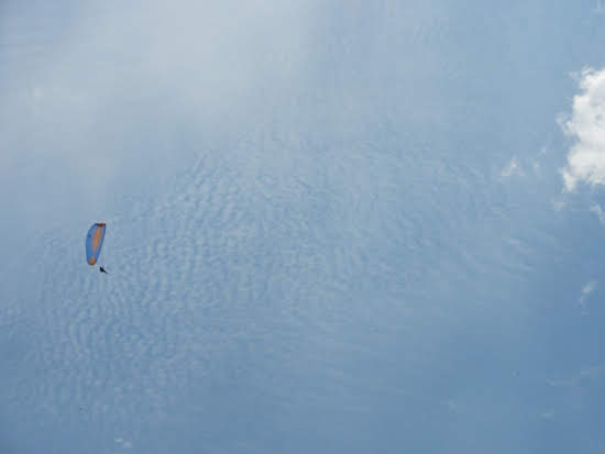 2013nara929jpg 35319861974 o