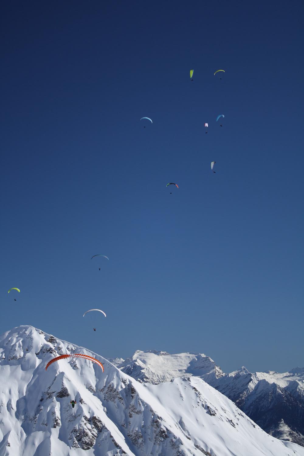 2014cariminiligatask15396jpg 35990447292 o