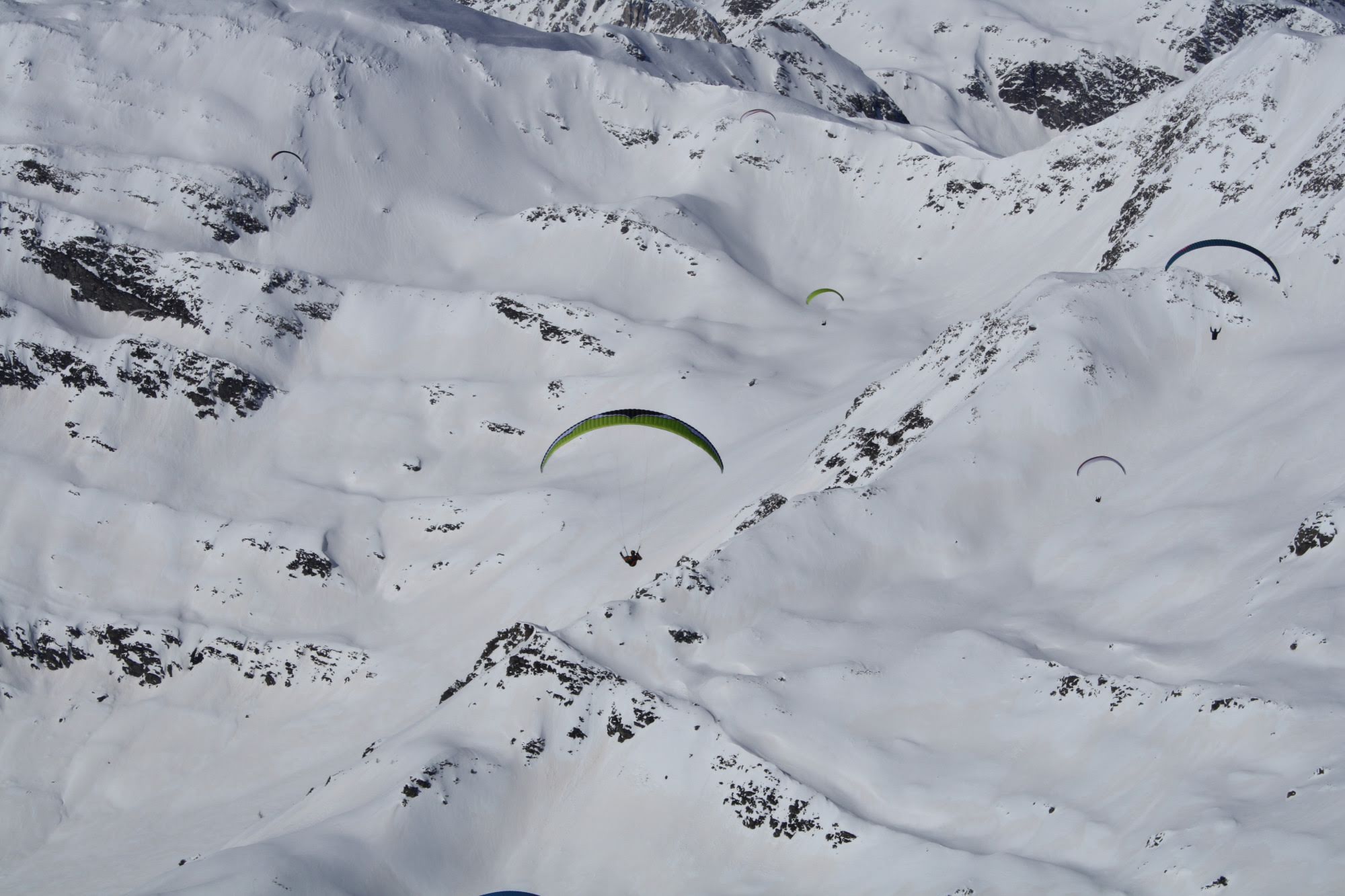 2014cariminiligatask15398jpg 35990445292 o