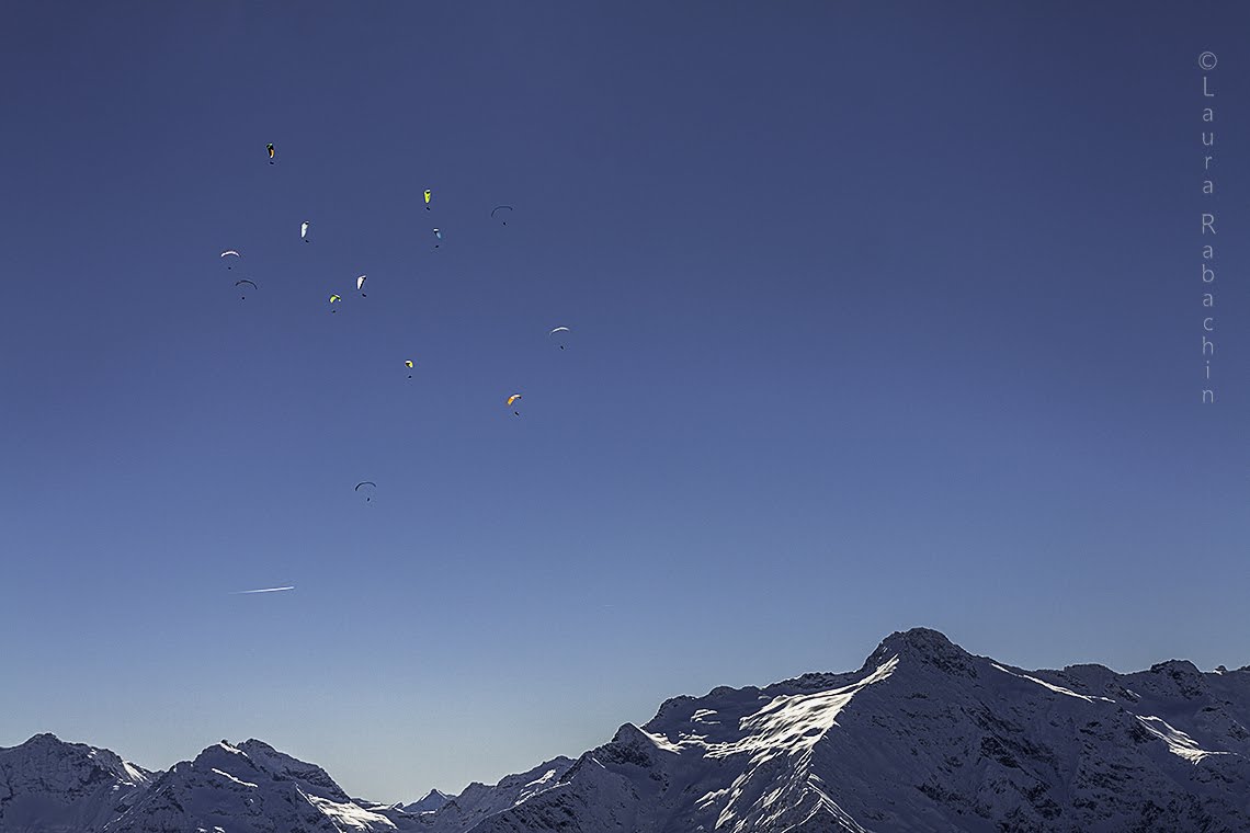 2014cariminiligatask16346jpg 35351490113 o