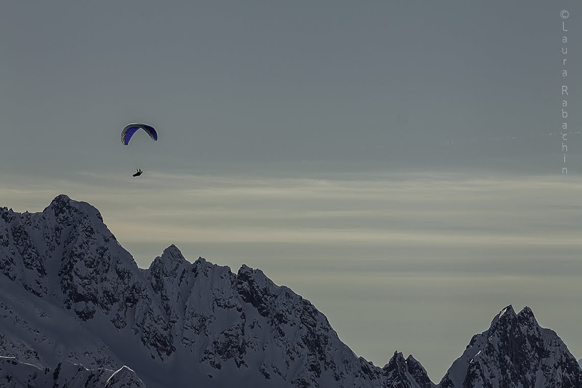 2014cariminiligatask16369jpg 36118462396 o