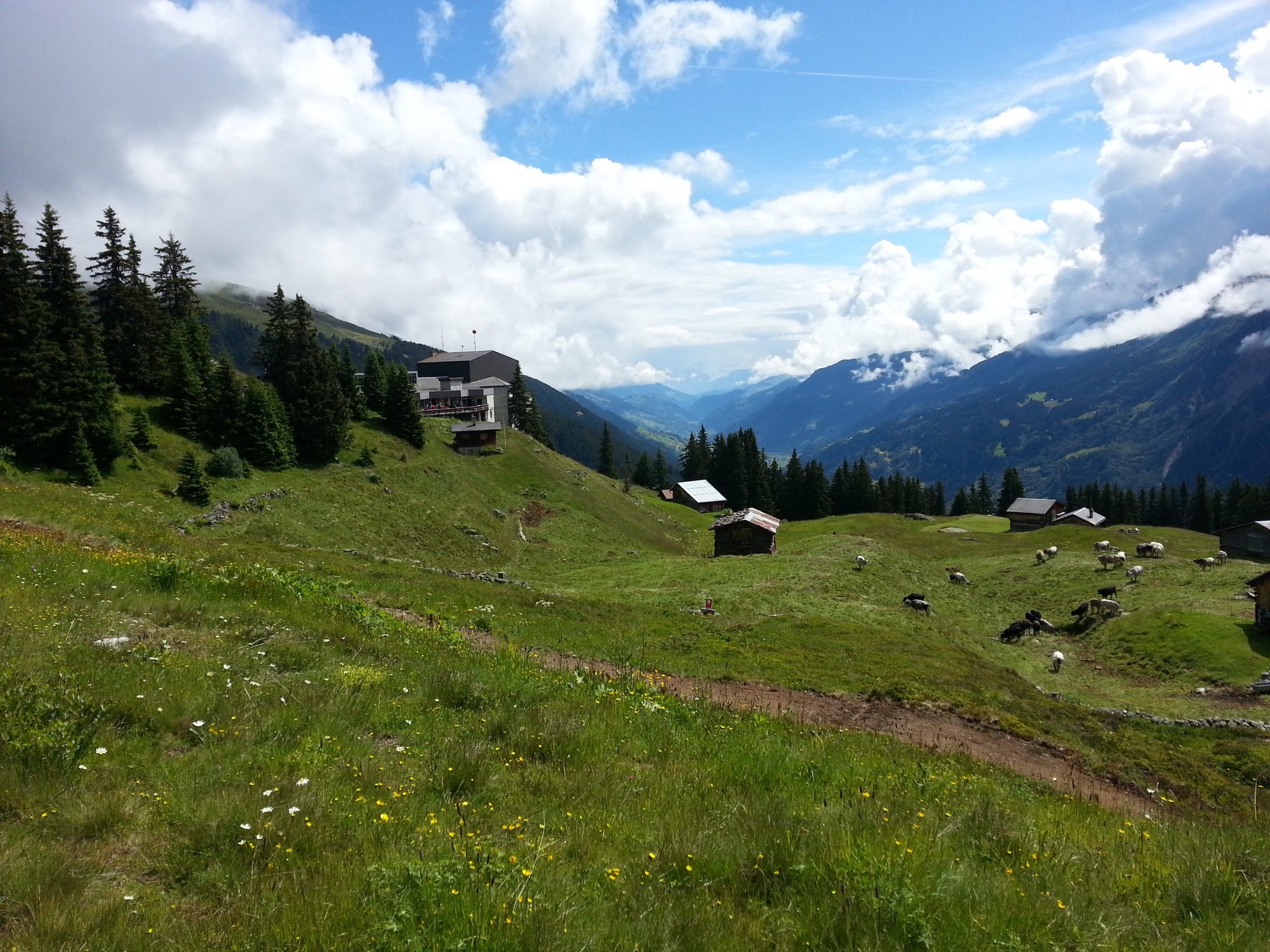 2014disentisopen5680jpg 35319716634 o