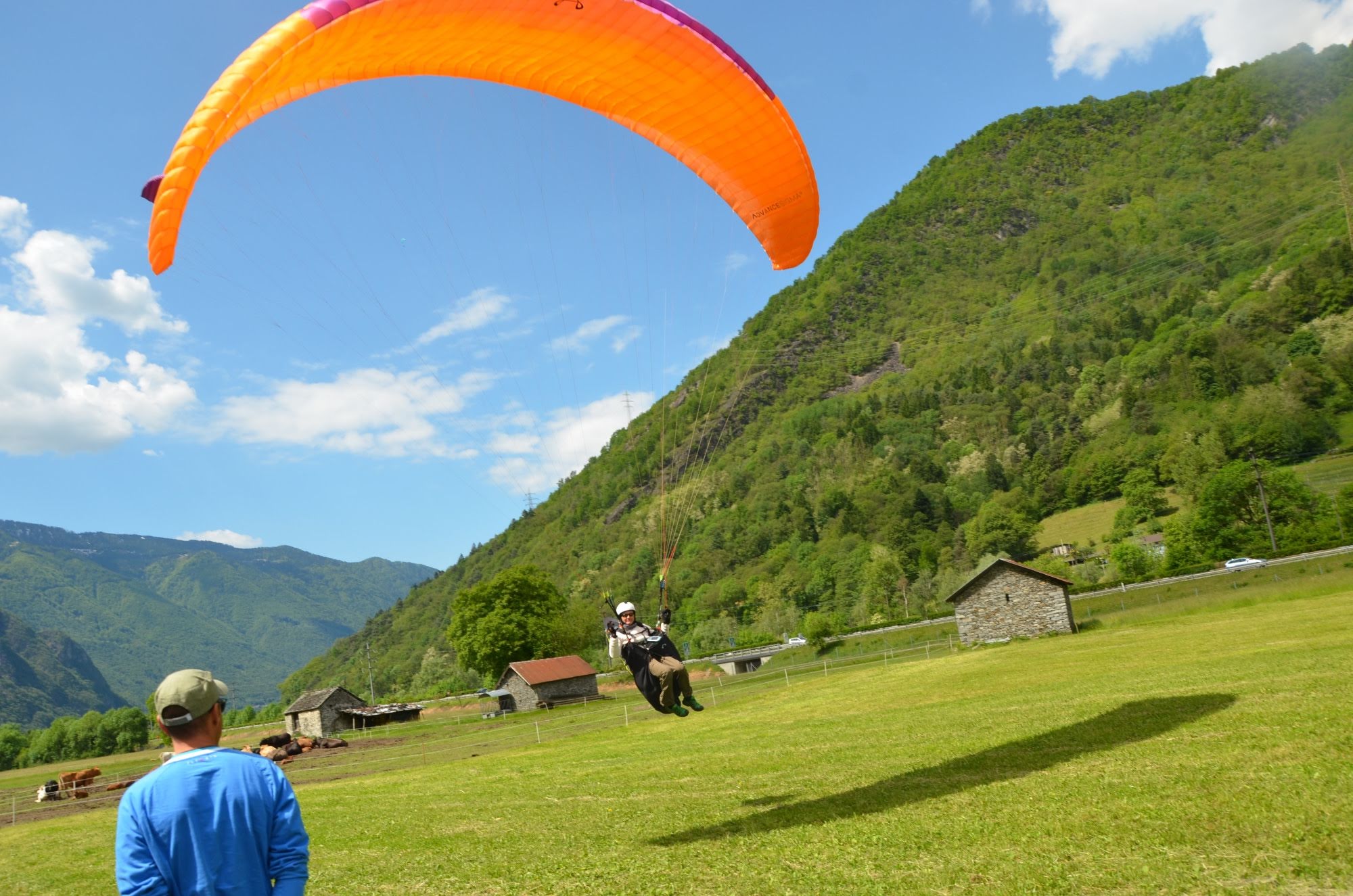 2014giornatadiesami5574jpg 36159330775 o