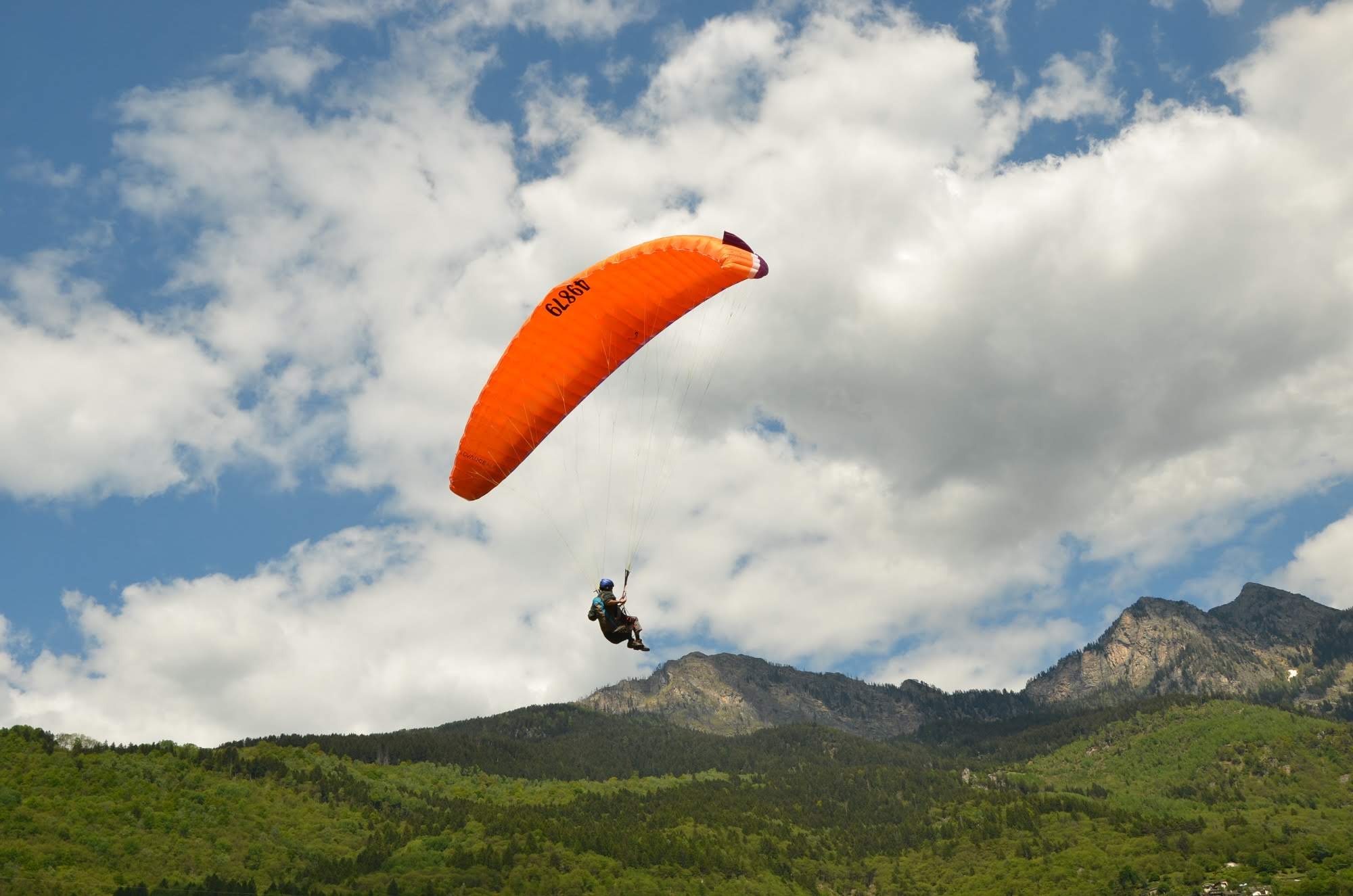 2014giornatadiesami5584jpg 35351737543 o