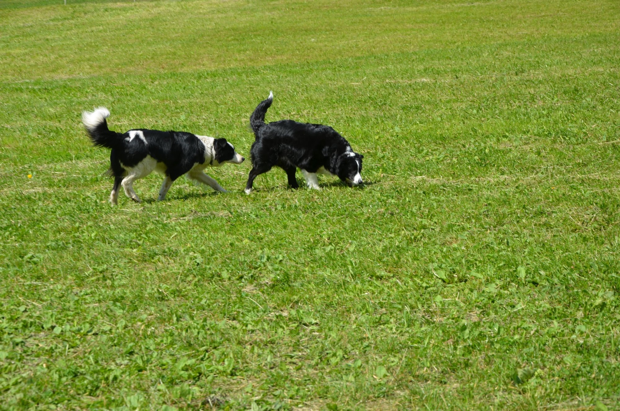 2014giornatadiesami5590jpg 35319712054 o