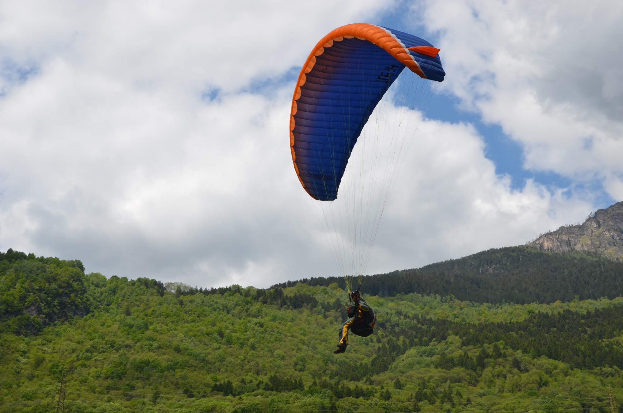 2014giornatadiesami5604jpg 35351707003 o