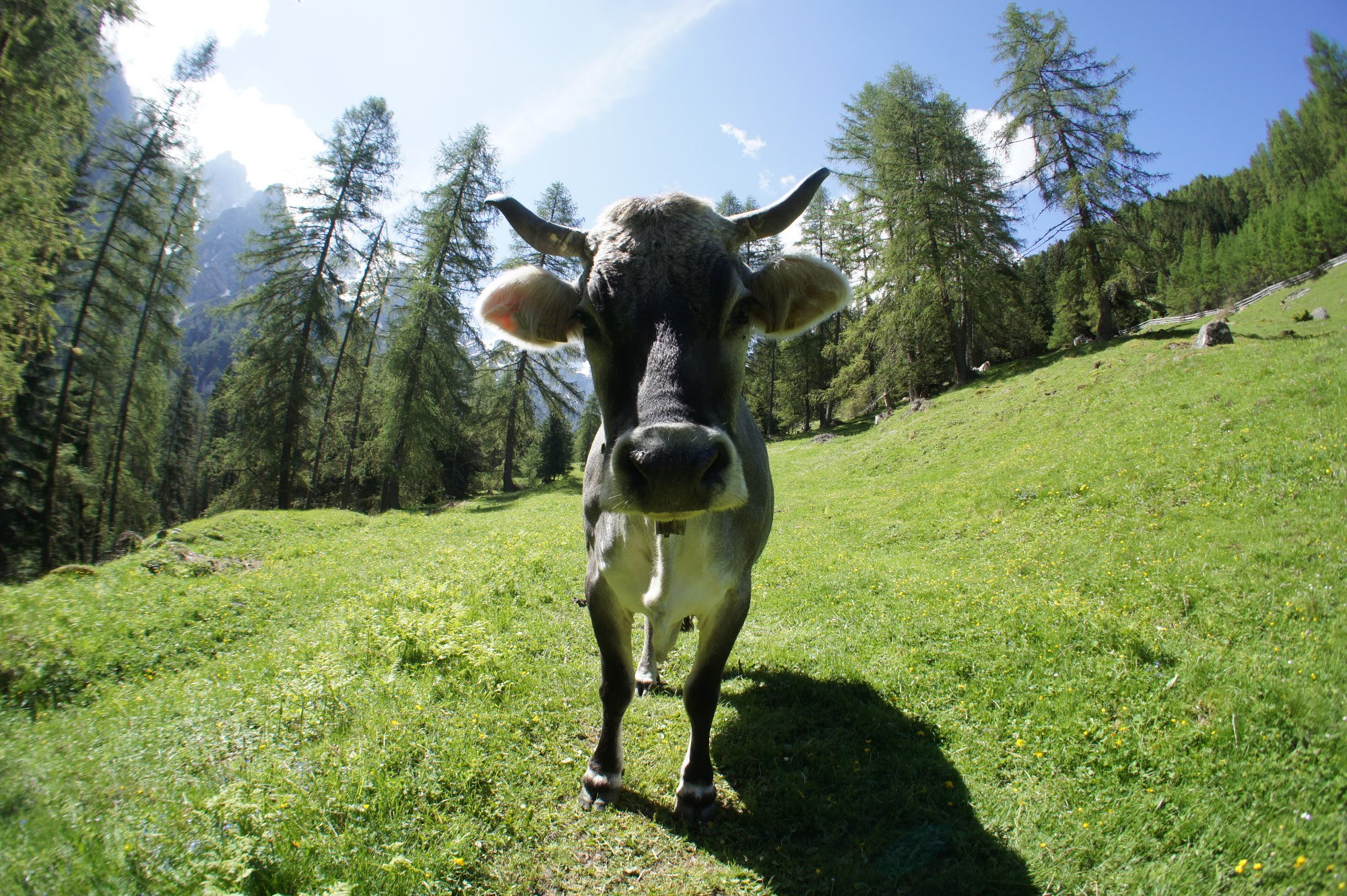 2014lastminute5494jpg 35319507654 o