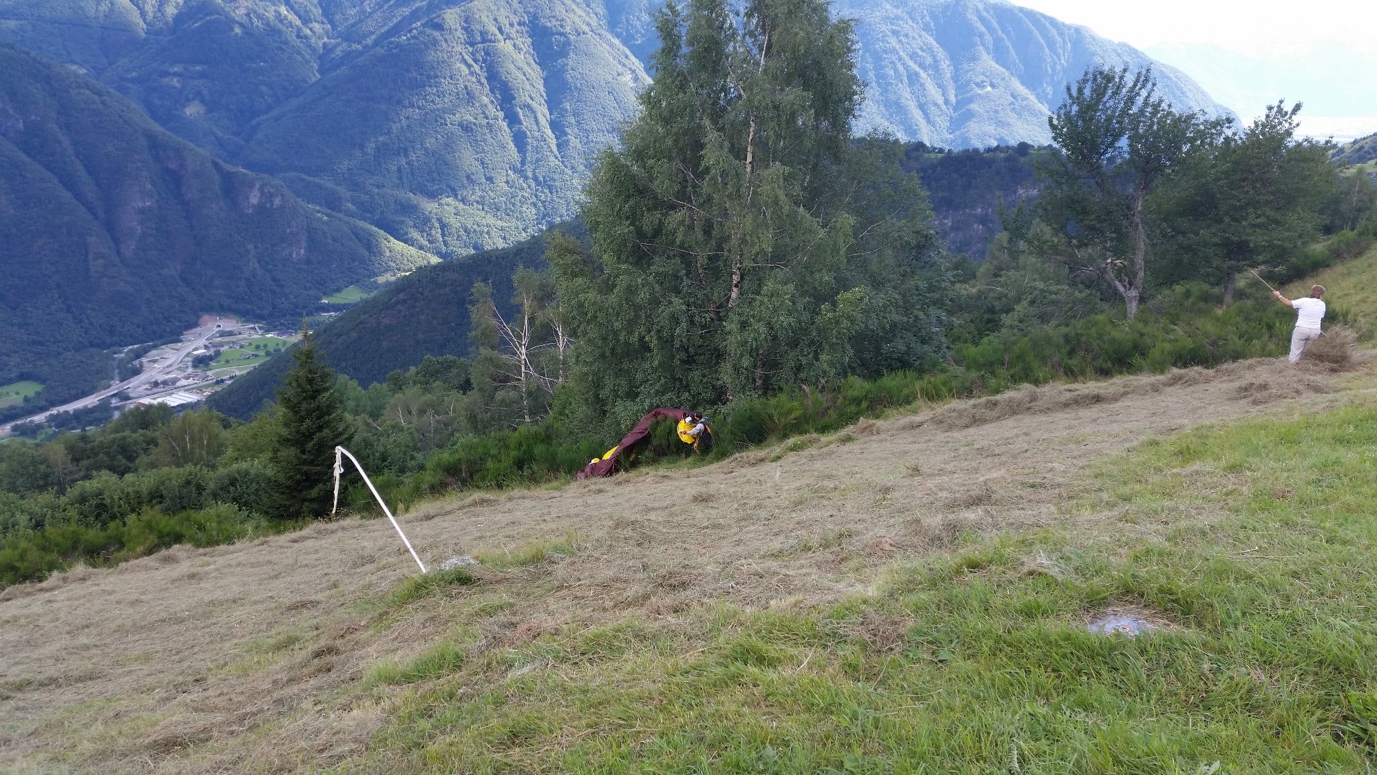 2014leggiametteleali5786jpg 35767275100 o