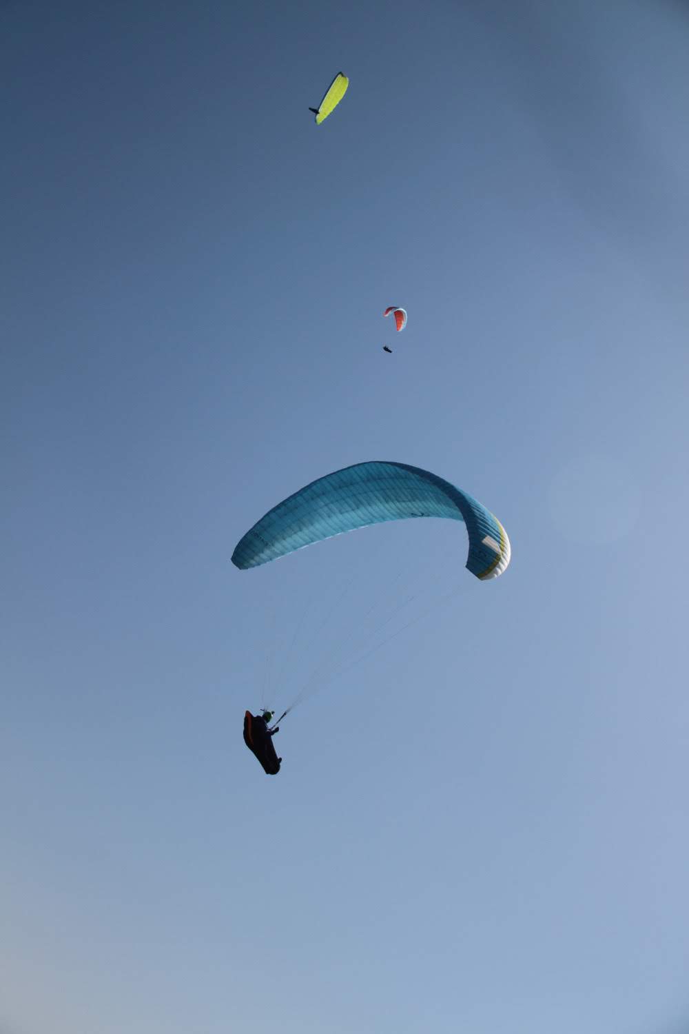 2014sicilia6080jpg 36025397321 o