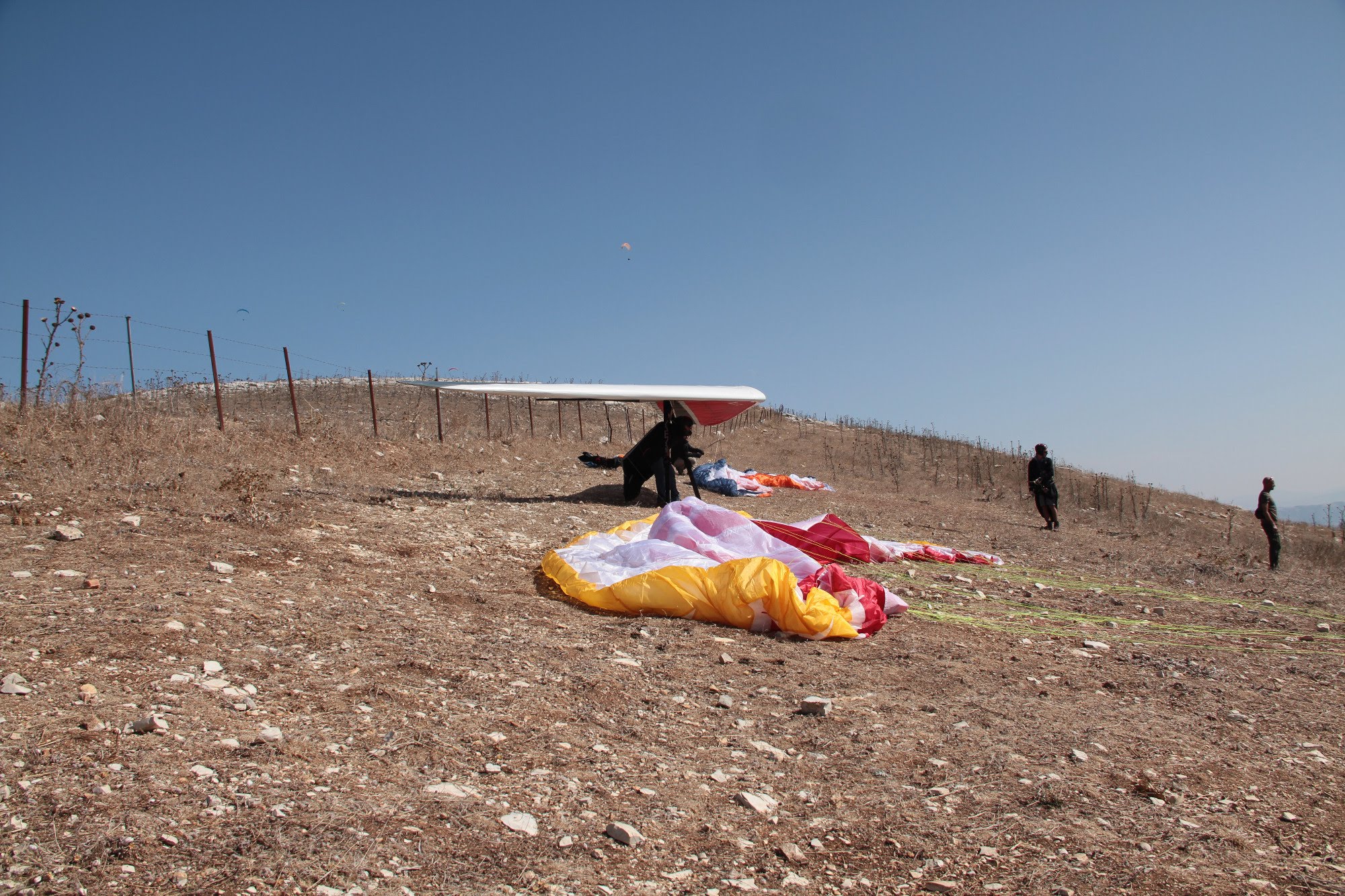 2014sicilia6114jpg 35767015410 o