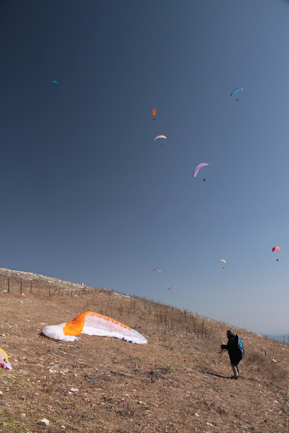 2014sicilia6119jpg 36158773135 o