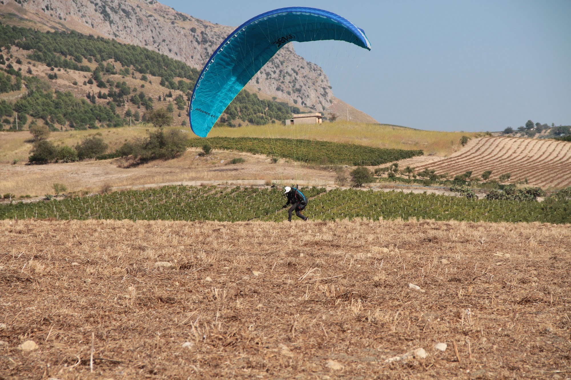 2014sicilia6130jpg 36158747725 o