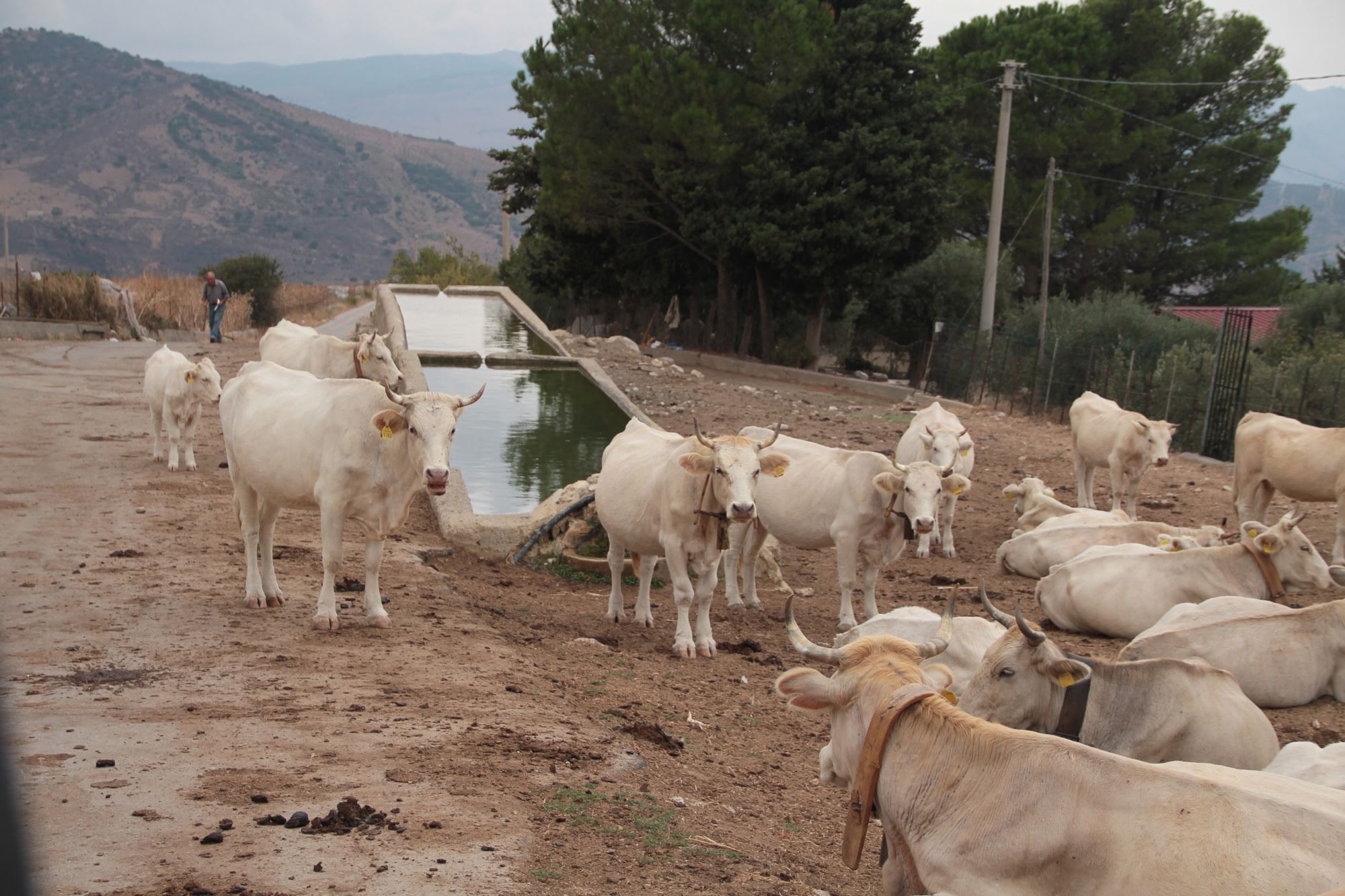 2014sicilia6147jpg 36158696475 o