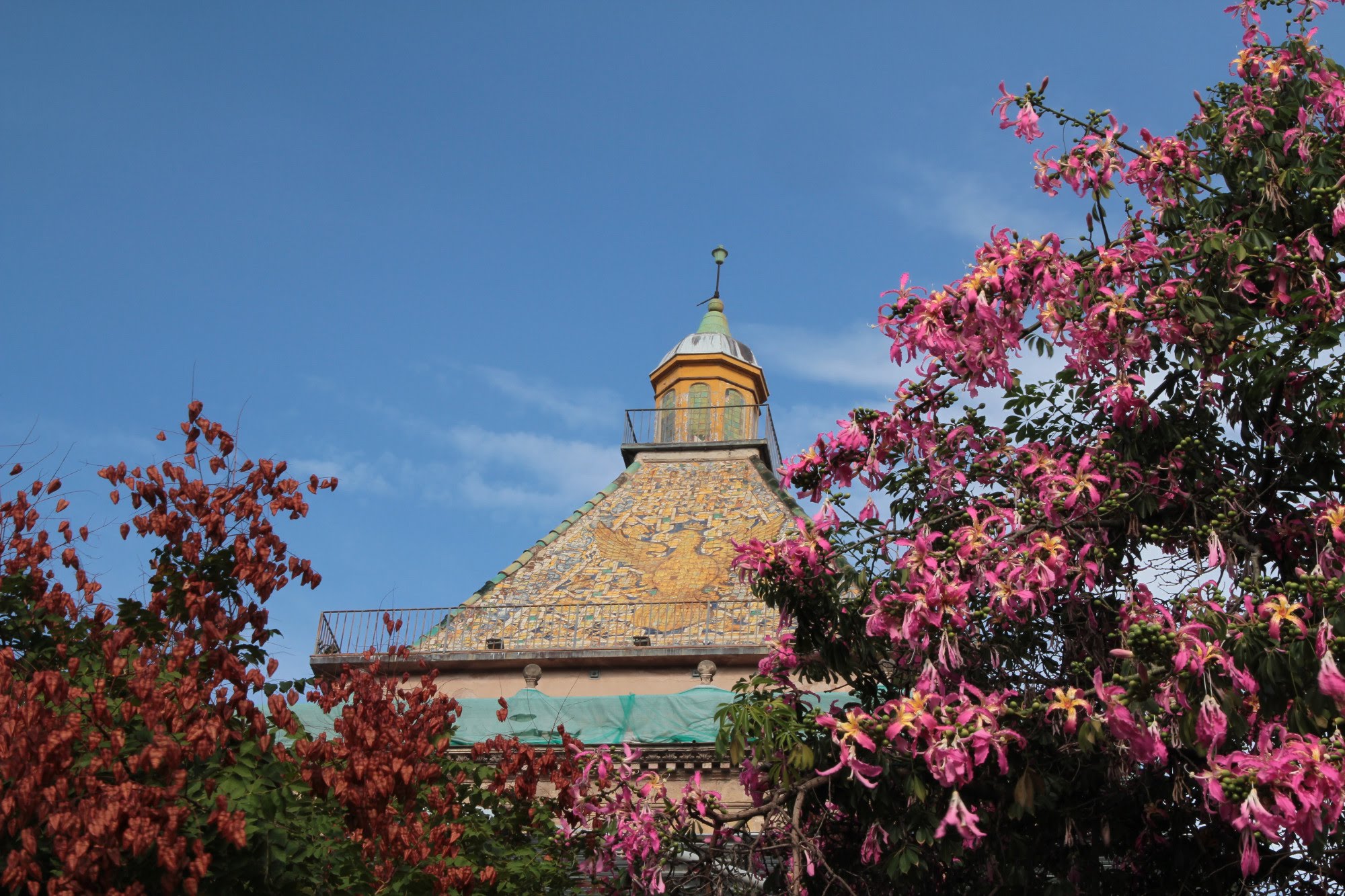 2014sicilia6150jpg 36158688345 o