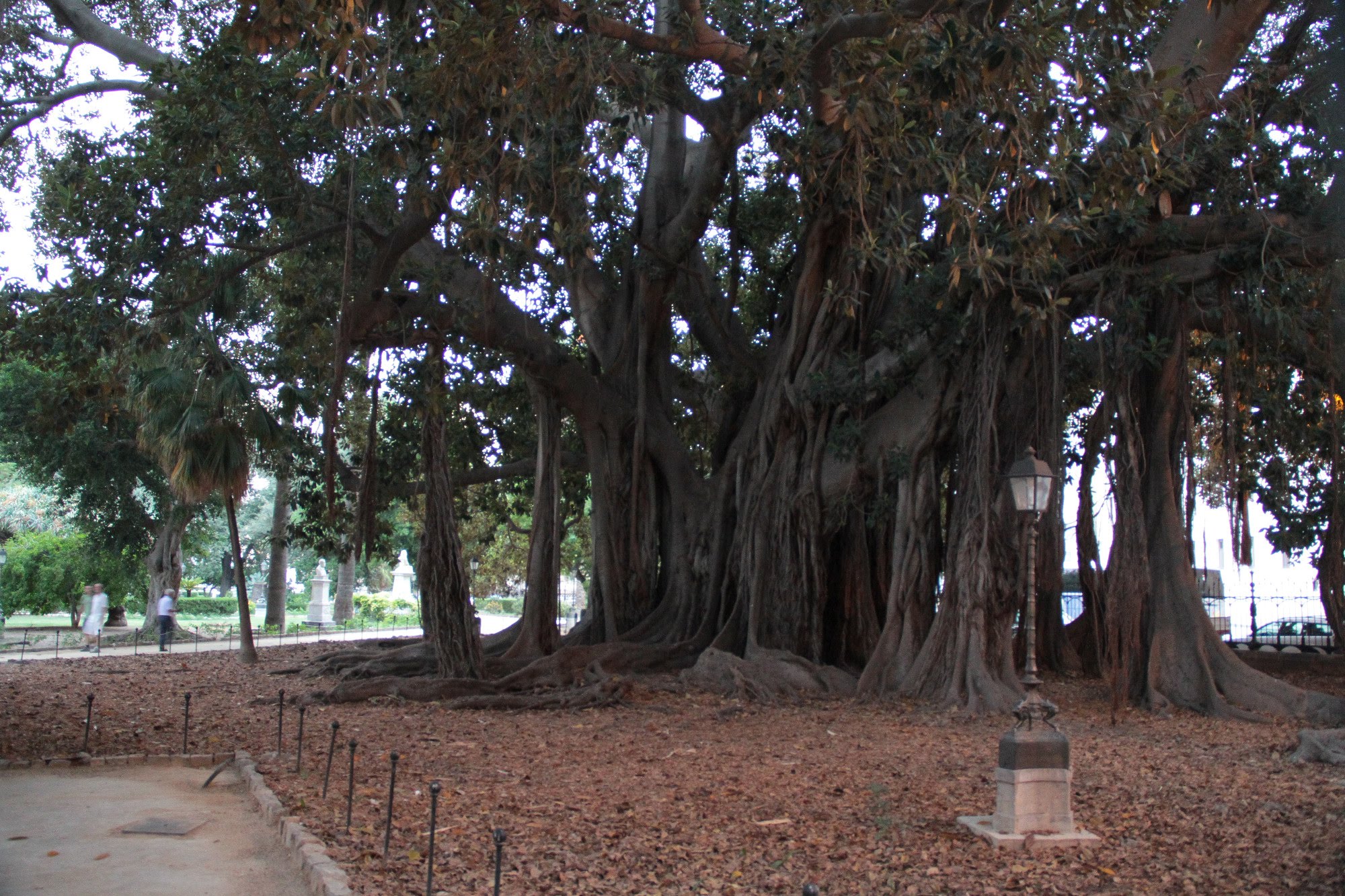 2014sicilia6160jpg 35766968520 o