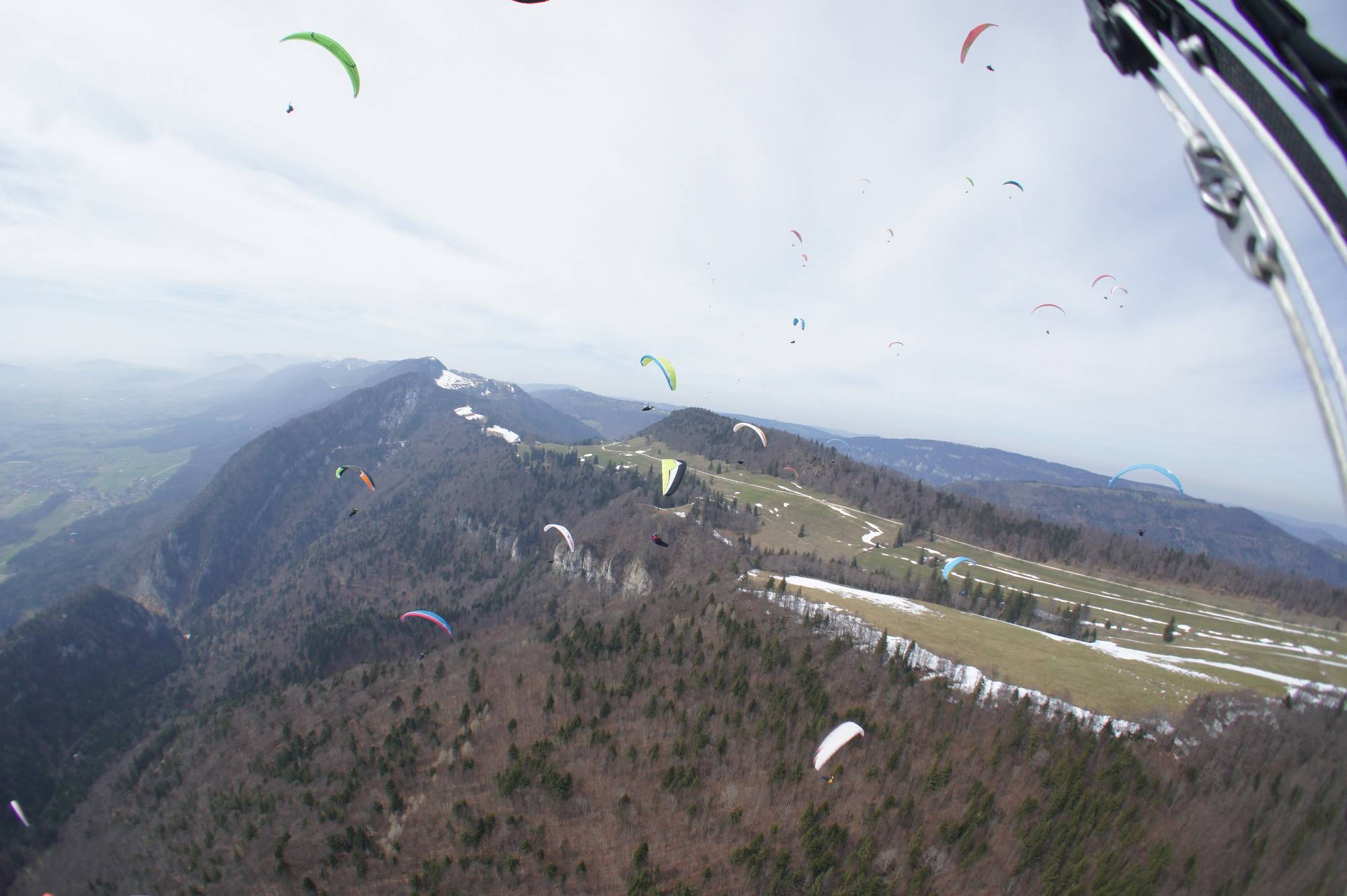 2014slcjura5409jpg 35990261992 o