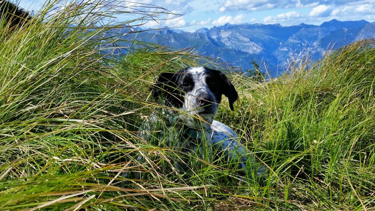 2014traversatadellago5832jpg 35766947130 o