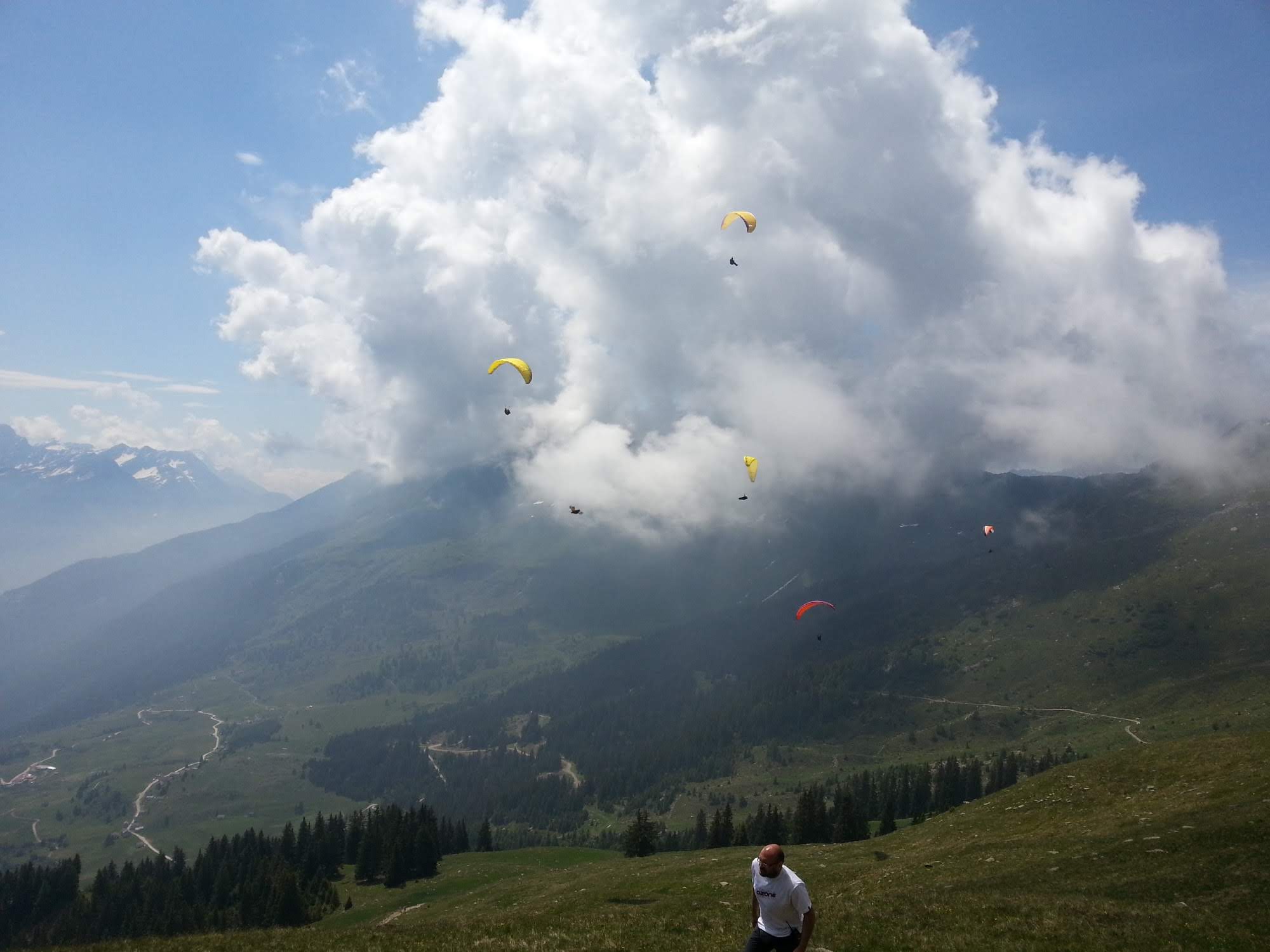 2014uscitaalnara5622jpg 36025426041 o