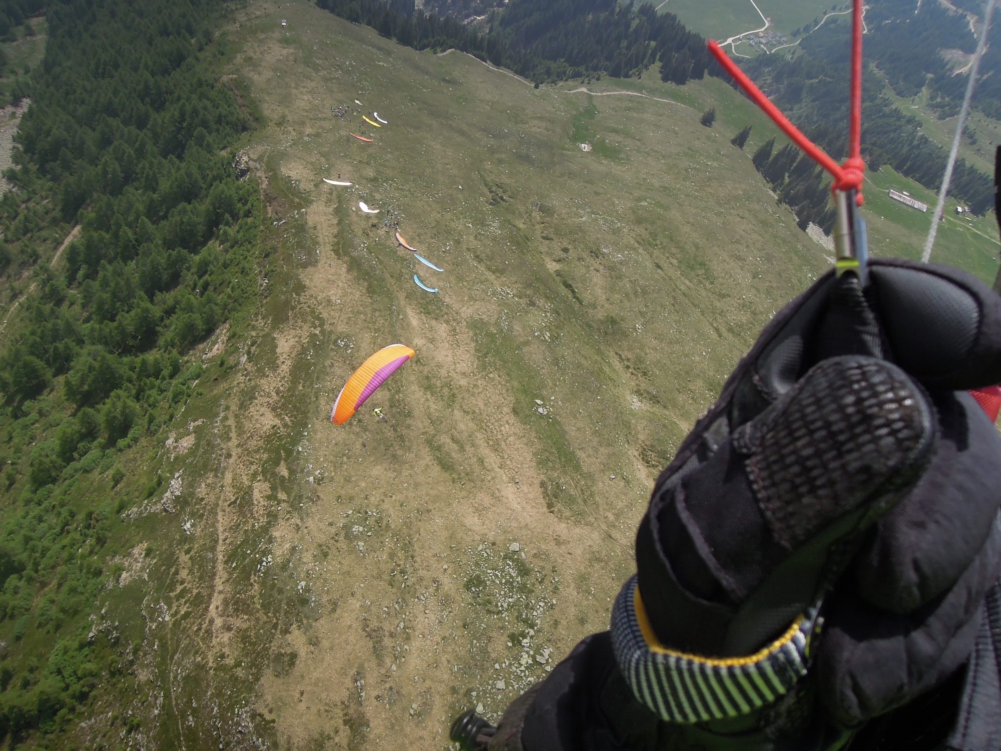 2014uscitaalnara5643jpg 35319418264 o