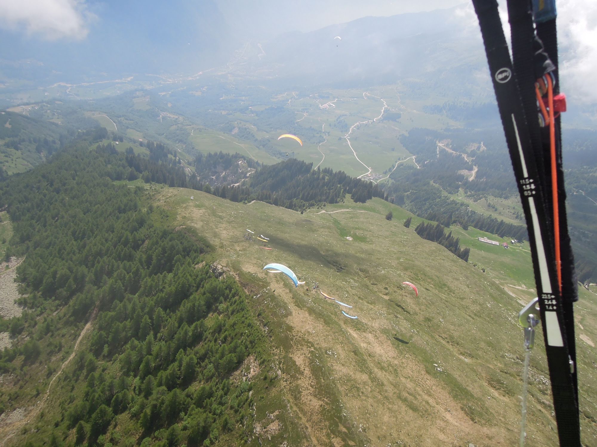 2014uscitaalnara5645jpg 35319416524 o