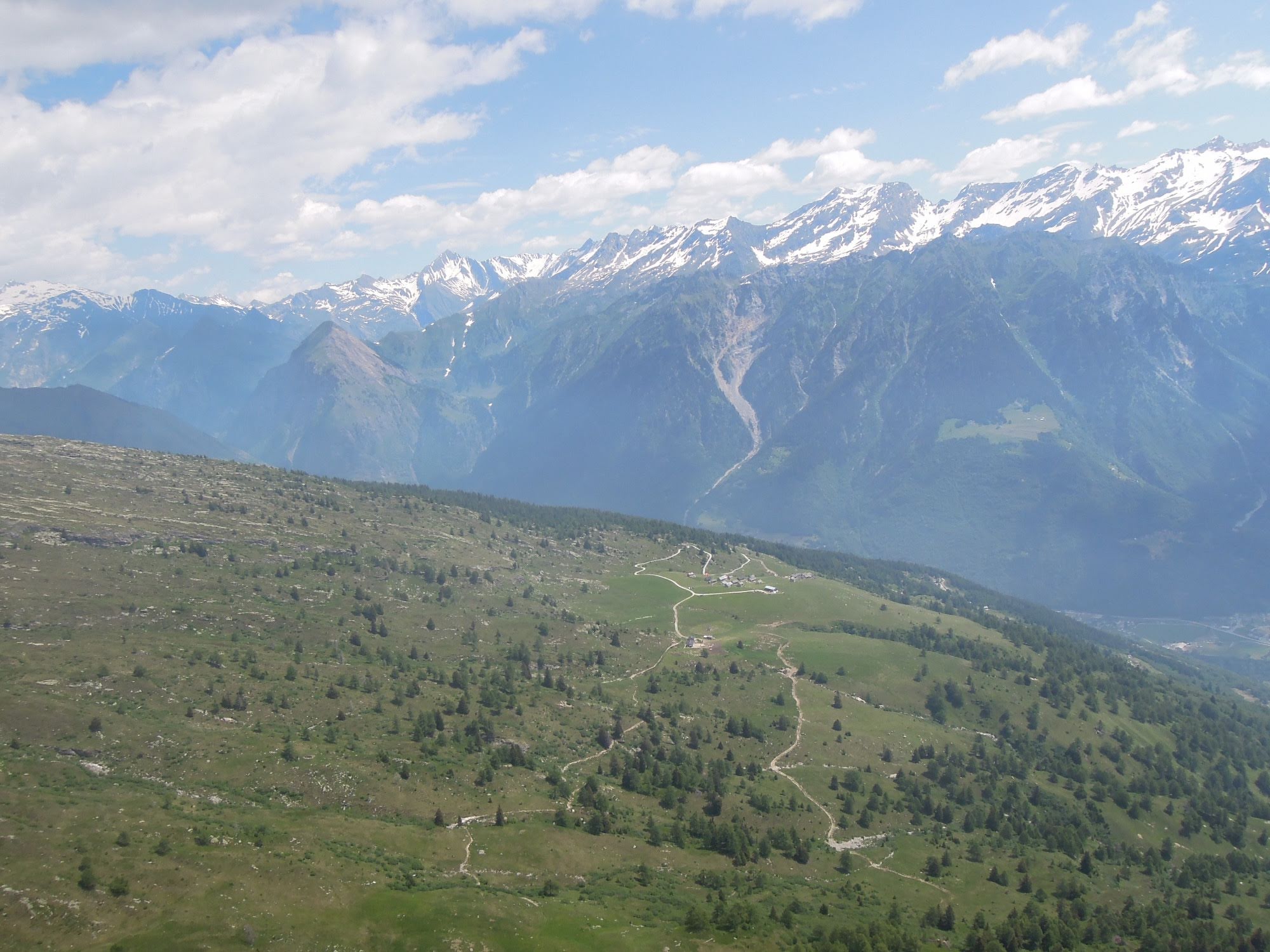 2014uscitaalnara5649jpg 36118411226 o