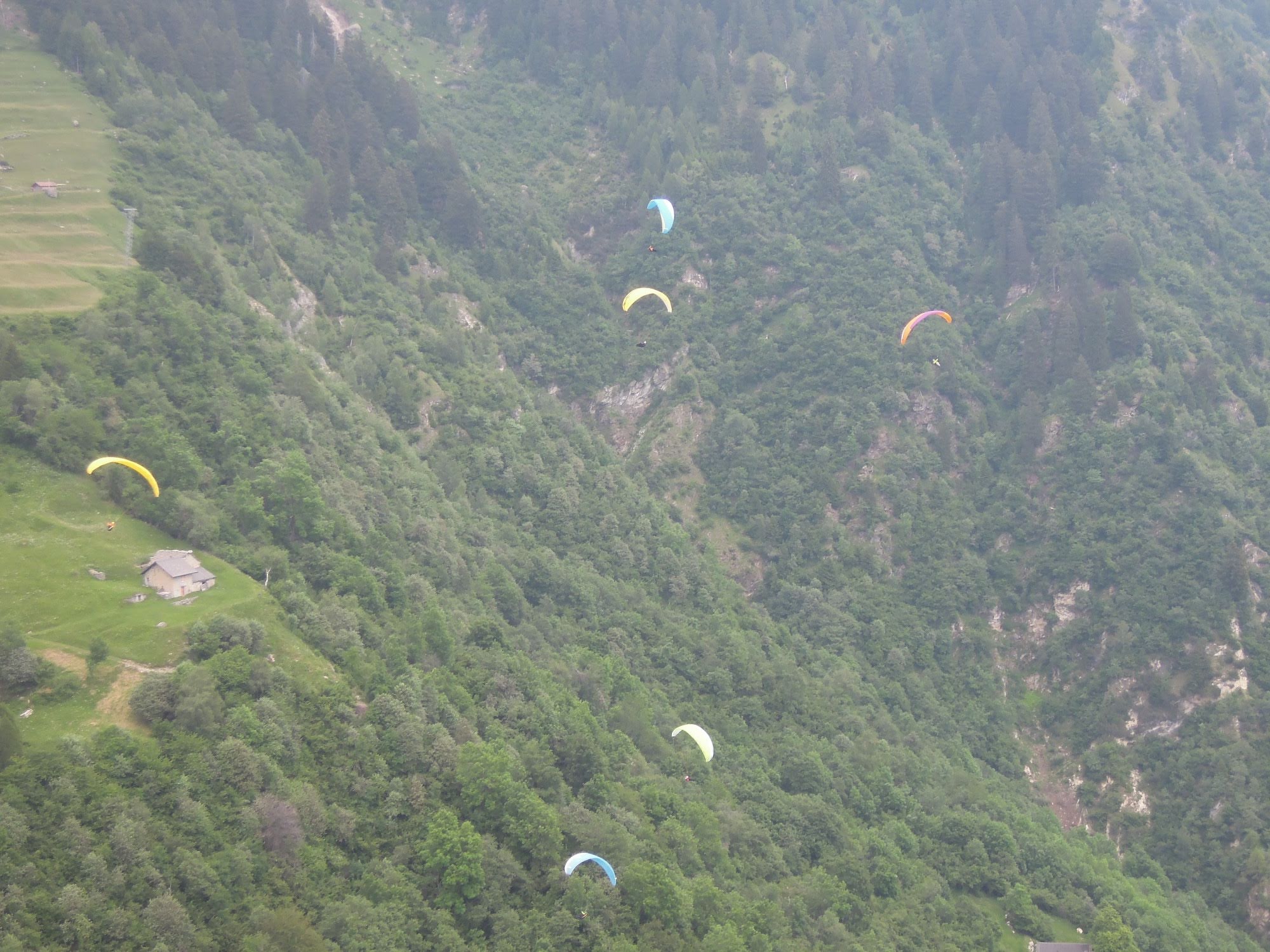 2014uscitaalnara5668jpg 35990327772 o