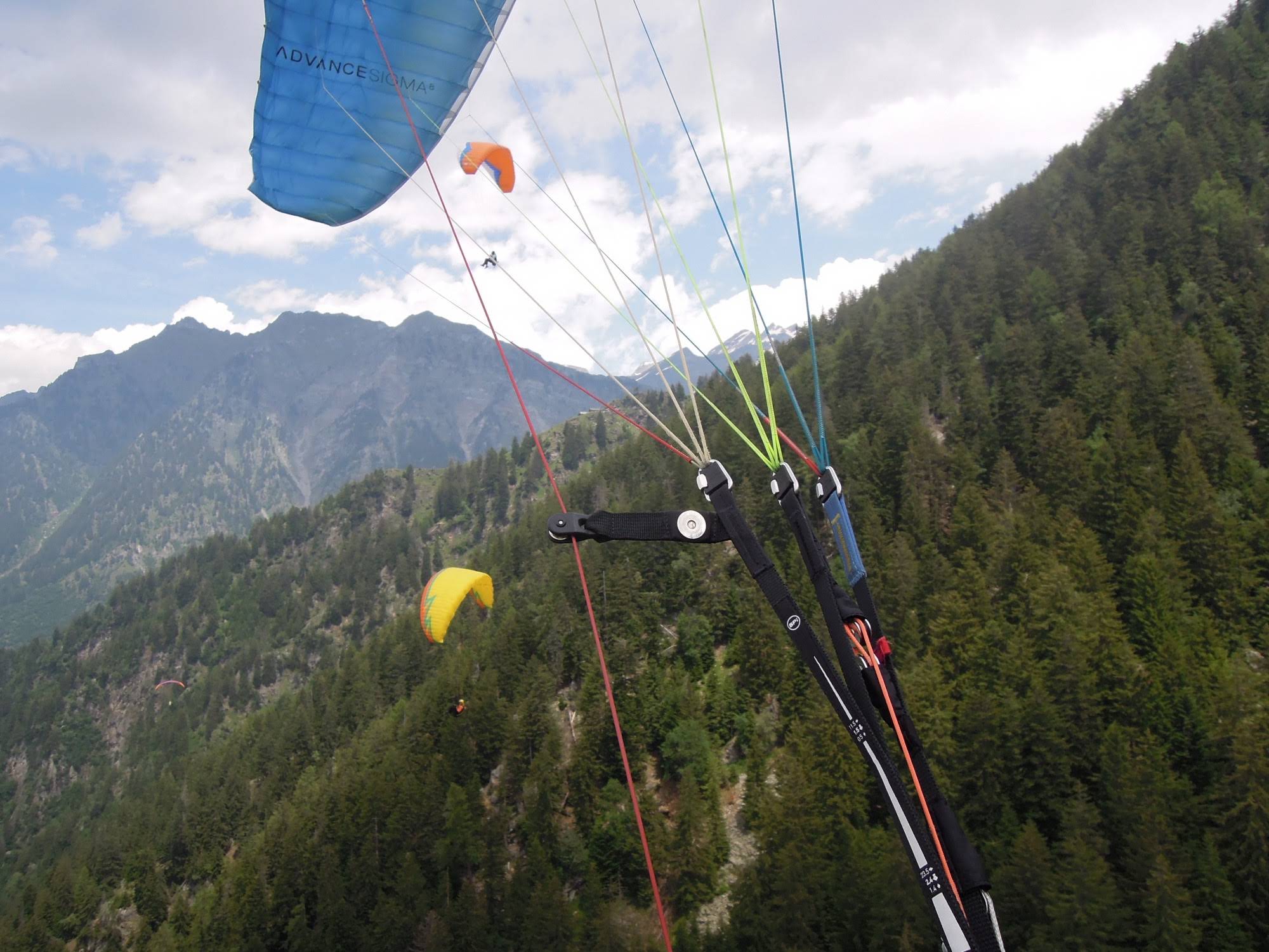 2014uscitaalnara5669jpg 36158751835 o