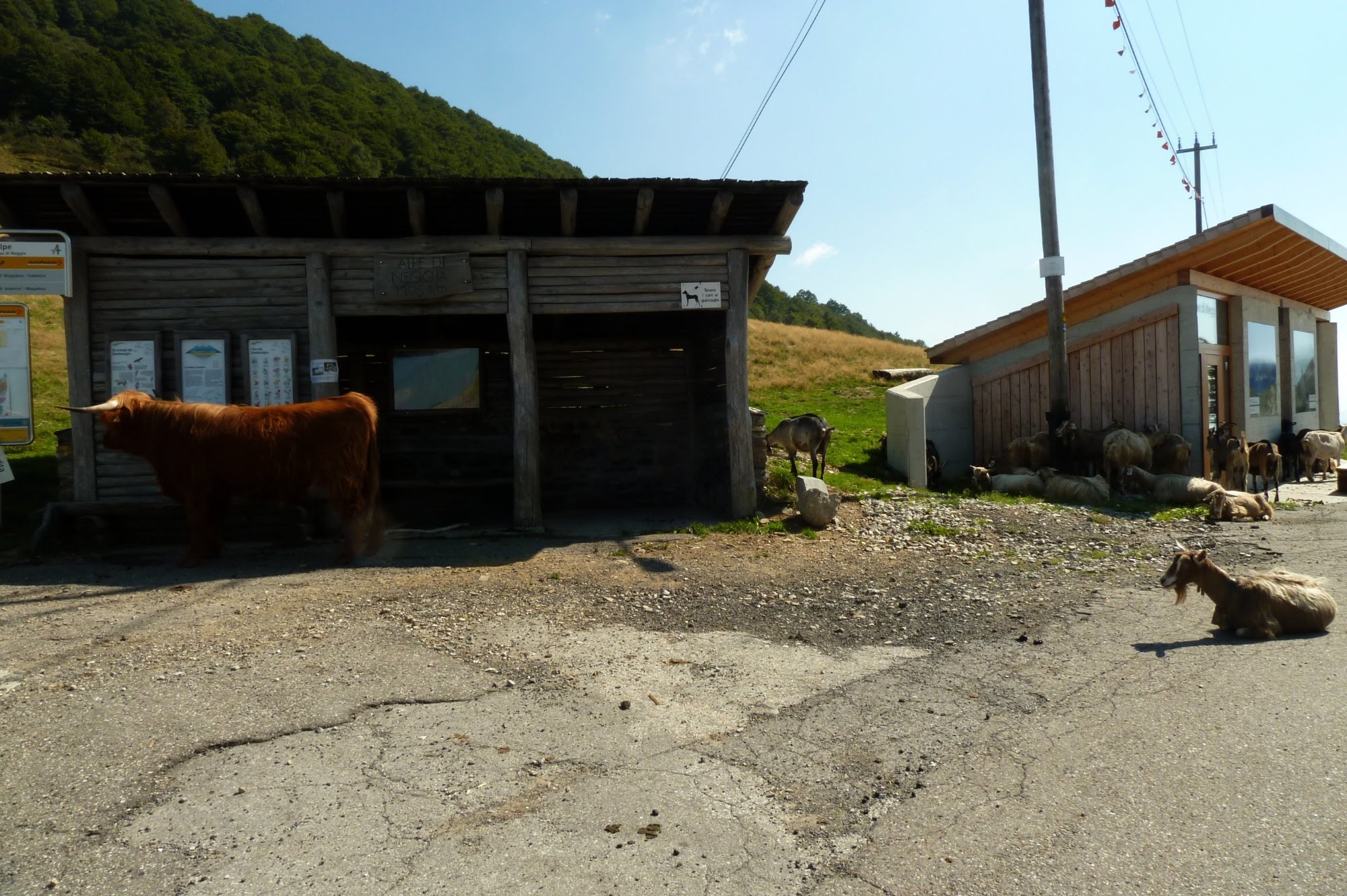 2015traversatadellago6454jpg 36023964011 o